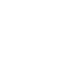 Dvacetistěnná kostka (d20) – symbol Dungeons & Dragons